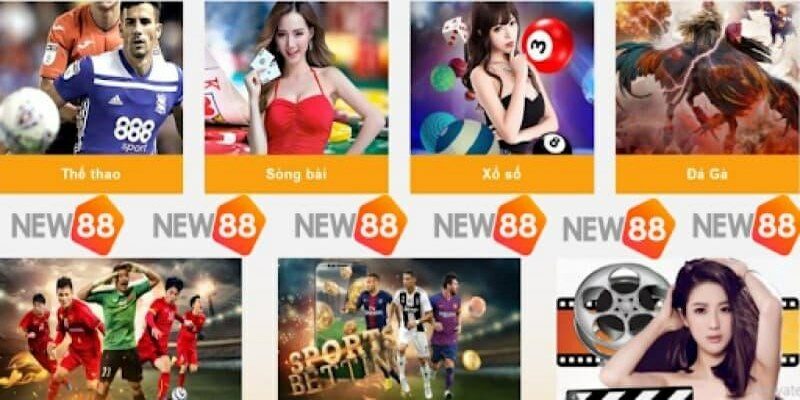 Tại sao nên cá cược trực tuyến tại nhà cái New88? Tại sao nên cá cược trực tuyến tại nhà cái New88?